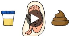 ความลับกำลังจะถูกเปิดเผย! เรา "อึ + ฉี่" ยังไงในท้องแม่
