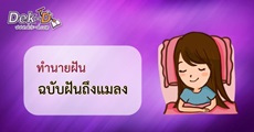 เด็กดีดูดวงทำนายฝัน : ฉบับฝันถึงแมลง