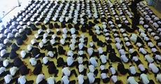 ทำด้วยใจ! รวมภาพเด็กอาชีวะทั่วประเทศ ร่วมทำดีถวายพ่อหลวง ร.9