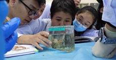 [Review] เรียนหมอด้วยภาษาจีนที่ปักกิ่ง ว่าด้วยวิชา Anatomy มันไม่ง่ายเลย!