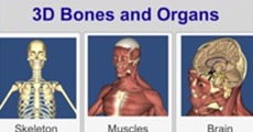 เจ๋งไปเลย! Anatomy ที่ว่ายาก ก็เรียนผ่านได้ด้วยแอพฯ เดียว!