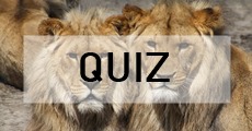 [ลับ IQ] แน่จริงทายให้ถูก! นี่คือสัตว์อะไร จากคำใบ้ 5 ข้อ