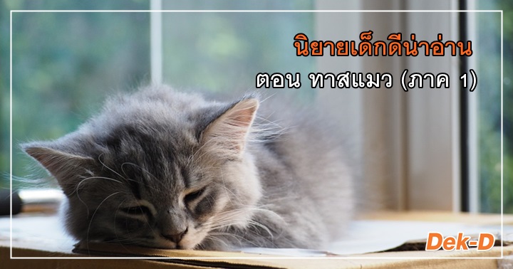 รูปบทความ 'นิยายเด็กดีน่าอ่าน พฤศจิกายน / 1 ตอน ทาสแมว (ภาค 1)'