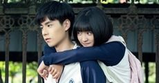 ไปดูมาแล้ว! A Love So Beautiful ซีรีส์จีนดีต่อใจ ใสๆ วัยรุ่นต้องชอบ