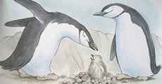 เรื่องราวสองเพนกวินหนุ่มน้อย 'รอย+ไซโล' คู่รักสัตว์โลกเพศเดียวกัน ที่ถูกนำมาทำเป็นนิทาน