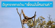 Episode 14 : ตอบปัญหาทางบ้าน ‘เพื่อนเป็นลิง มันโหนงาน’?! 