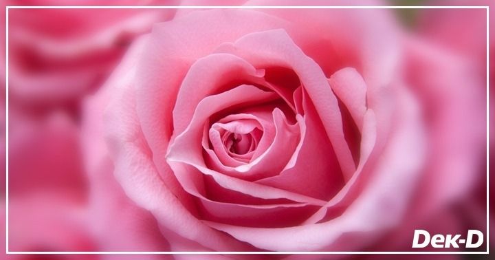 รูปบทความ 'เบื้องหลังความโรแมนติก กับ 10 สุดยอดความลับที่คนเป็นนักเขียนไม่เคยบอกใคร!'