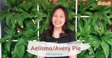 Aelisma / Avery Pie เมื่อรักในอาชีพนักเขียน การได้เขียนนิยายทุกวันจึงเป็นยิ่งกว่าความสุข