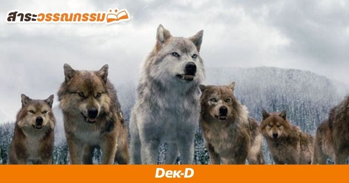 รูปบทความ 'เมื่อ 'หมาป่า' ไม่ได้เป็นแค่ตัวโกงในนิทานเด็ก แต่มีเรื่องเล่าที่เต็มไปด้วยความรัก!?'