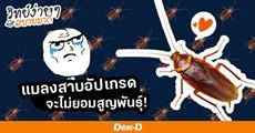 ตายยากขึ้นอีก! “แมลงสาบ” อัปเกรด ทนยาฆ่าแมลง ส่งต่อภูมิต้านทานให้ลูกหลานได้!