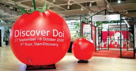 พาเที่ยวงาน “Discover Doi: FROM FARM TO CITY”