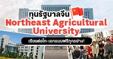 ห้ามพลาด! ทุนรัฐบาลจีนระดับป.โท-เอก ที่ Northeast Agricultural University (ฟรีทุกอย่าง)