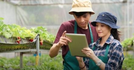 หลักสูตรใหม่! "AGRINOVATOR" ส.ลาดกระบัง เรียน 4 ปี ได้ 2 ปริญญา วิทยาฯ + วิศวฯ ที่แรกในไทย