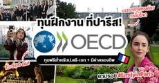 Intern in Paris! ทุนฝึกงานกับองค์การระดับโลก ‘OECD’ ป.ตรี-เอกสมัครได้ แถมมีเงินเดือนด้วย!