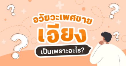 อวัยวะเพศชายเอียง เกี่ยวกับการพับเก็บไหม?