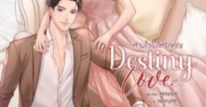 DESTINY LOVE ห้ามใจไม่ให้รักคุณ