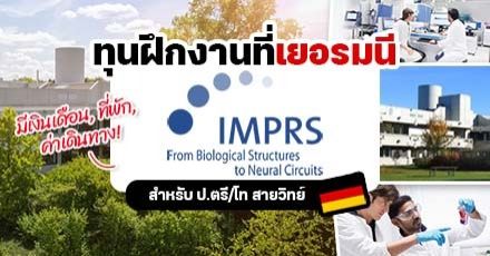 Intern in Germany! ทุนฝึกงานจาก ‘IMPRS-LS’ ณ กรุงมิวนิก สำหรับเด็ก ป.ตรี/โท สายวิทย์ฯ (มีค่าตอบแทนให้)
