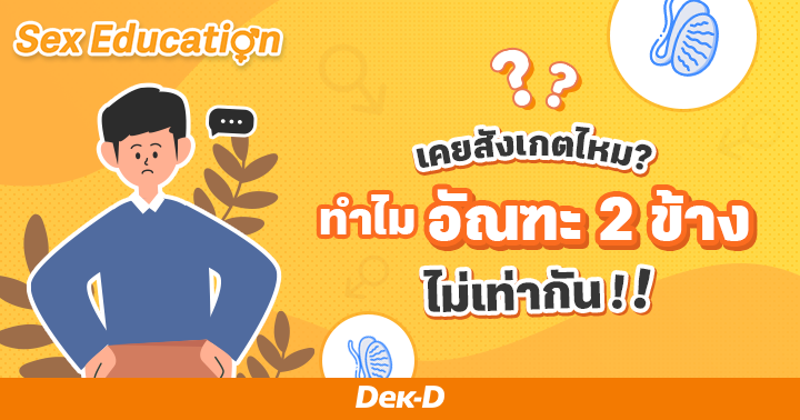 ทำไมอัณฑะสองข้างถึงไม่เท่ากัน ผิดปกติไหม?