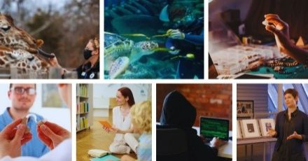 Unknown Job! เส้นทางสู่ 7 งานแปลกไม่ลับที่เปิดสอนในมหาวิทยาลัยไทย