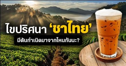 ปริศนาชาไทย! เราดื่มชากันตั้งแต่เมื่อไหร่ แล้วใครเป็นคนคิดค้นชานม?