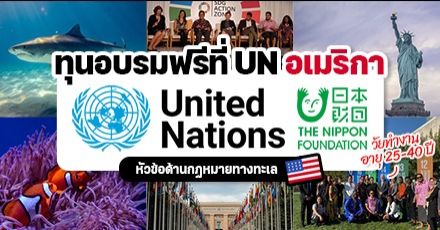 บินลัดฟ้าไปอเมริกา! ‘UN Nippon Foundation Fellowship’ ทุนฟรีอบรมด้านกฎหมายทางทะเล ที่สำนักงานใหญ่ UN (อายุ 25-40 ปี)