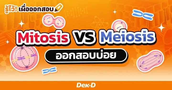 Mitosis vs Meiosis ต่างกันอย่างไร? ออกสอบบ่อย