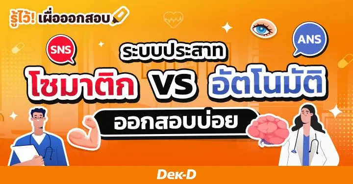 ระบบประสาทของมนุษย์ ทำงานอย่างไร? ออกสอบบ่อย!