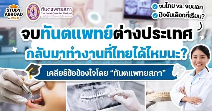 "จบทันตฯ เมืองนอก กลับมาทำงานที่ไทยได้ไหม?" เคลียร์ชัดโดยทันตแพทยสภา & เจาะลึกเส้นทางอาชีพหมอฟันที่ไทย