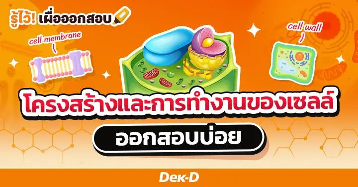 โครงสร้างและการทำงานของเซลล์ ออกสอบบ่อย