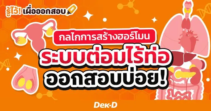 กลไกการสร้างฮอร์โมน "ระบบต่อมไร้ท่อ" ออกสอบบ่อย!