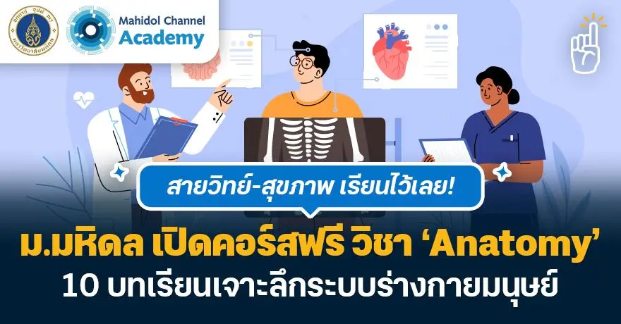 สายวิทย์-สุขภาพเรียนไว้เลย! ม.มหิดล เปิดคอร์สฟรี วิชา ‘Anatomy’ 10 บทเรียนเจาะลึกระบบร่างกายมนุษย์