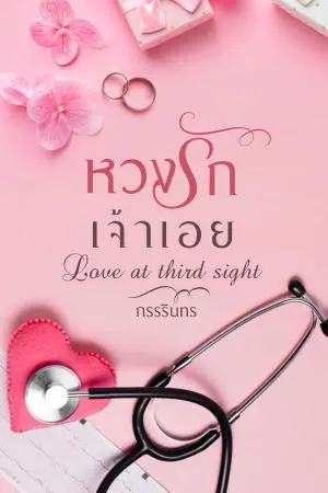 หวงรักเจ้าเอย...Love at third sight 