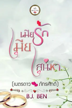 เมียรักเมียเสน่หา (เนตรดาว+ภัทรศักดิ์)