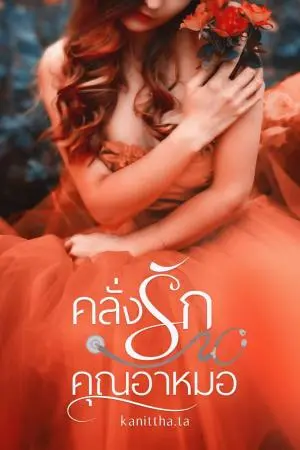 คลั่งรักคุณอาหมอ
