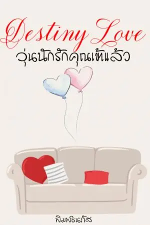Destiny Love วุ่นนักรักคุณเข้าแล้ว