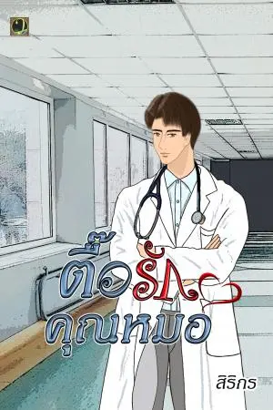 ตื๊อรักคุณหมอ