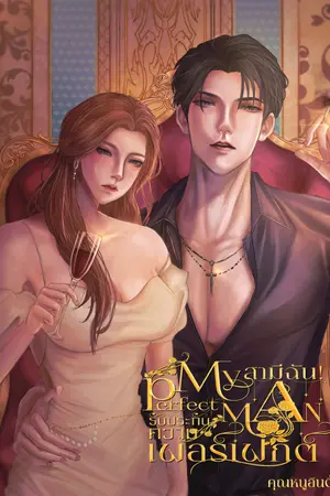 My Perfect Man I สามีฉัน! รับประกันความเพอร์เฟกต์