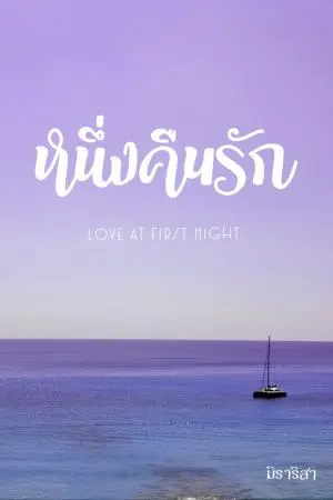 หนึ่งคืนรัก