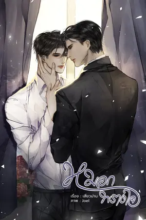 หมอกพรางใจ (เล่มเดียวจบ)