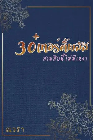 30+เทอร์ตี้พลัส สามสิบนี้ไม่มีเหงา