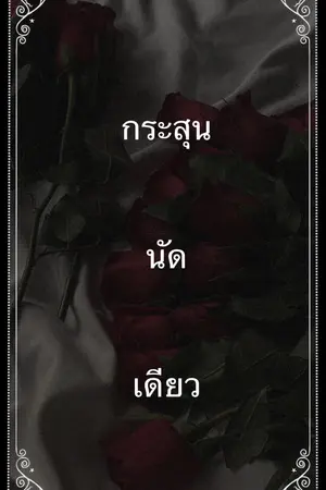 ก ร ะ สุ น นัด เ ดี ย ว