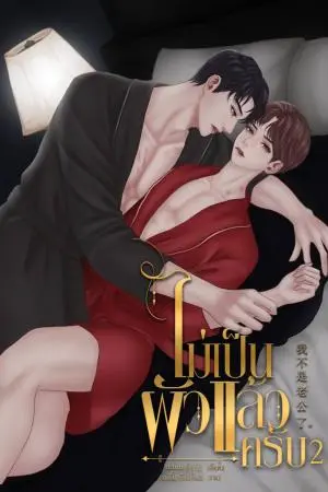 ไม่เป็นผัวแล้วครับ 2 (เล่มจบ)