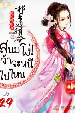 ปกอีบุ๊กเรื่อง สนมโง่! เจ้าจะหนีไปไหน เล่ม 29