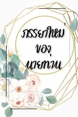 ปกนิยาย