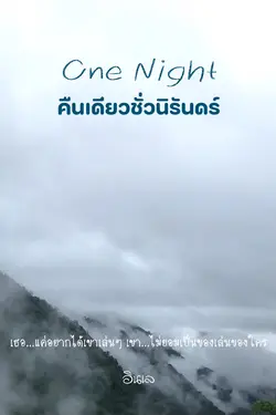 ปกอีบุ๊กเรื่อง One Night คืนเดียวชั่วนิรันดร์