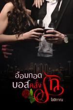 ปกอีบุ๊กเรื่อง อ้อมกอดบอสคลั่งรัก