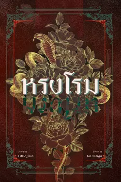 ปกอีบุ๊กเรื่อง หรงโรม