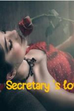 ปกอีบุ๊กเรื่อง Secretary ‘s love