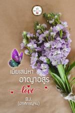 ปกอีบุ๊กเรื่อง เมียเสน่หาอาญาอสูร