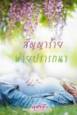 ปกนิยาย